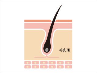 リンス・コンディショナーの役割