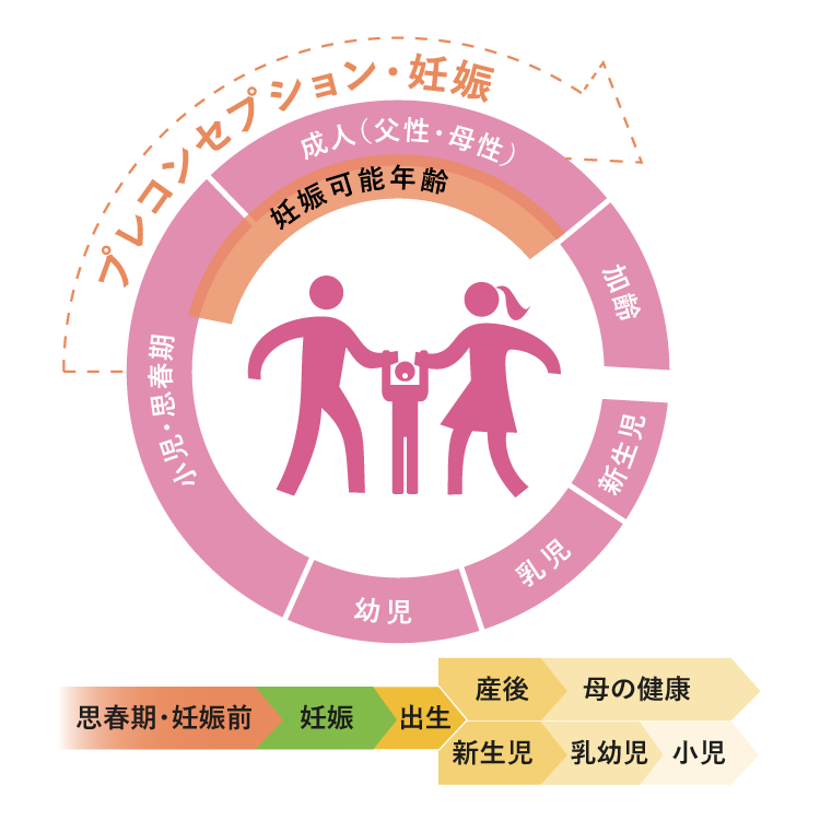 プレコンセプションケア（プレ妊活）｜BELTA